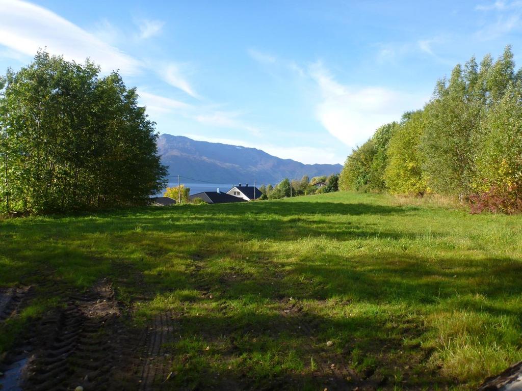 7 RESULTAT TORVIKA VEST: Det vestlege planområde ved Torvika består av dyrka mark i ei lett hellande skråning ned mot sør.