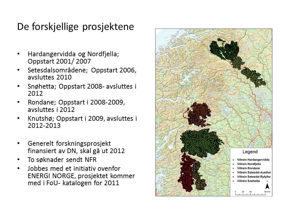 Hva har vi så gjort på villrein; oppskalering fra en jaktorientert Datainnsamling og kunnskapsproduksjon forvaltning til bevaring av arealer Forskning og datainnsamling i regi av