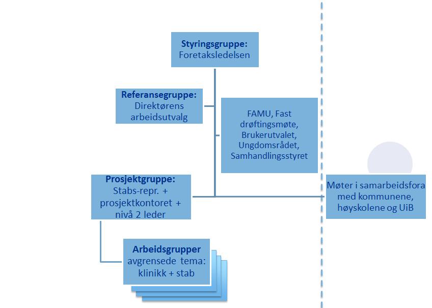 Prosjektdirektiv De mer avgrensede temaene listet over (operasjonskapasitet, billeddiagnostikk m.v.) skal utredes nærmere arbeidsgrupper der fagmiljø i klinikkene/avdelingene skal involveres.