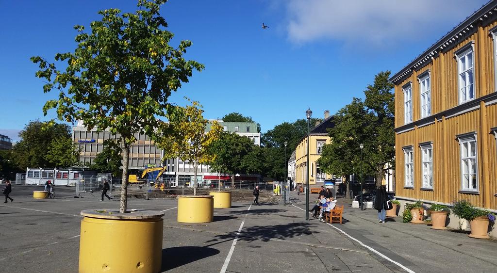 TBRT ser behov for maksimalgrense for arrangement. De ønsker også et mal-kart for brann ved arrangement. TRÆR Trær har vært plassert ved Kongensgt vest.