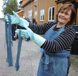 Gard (Norsk senter for økologisk landbruk) foredrag og kurs i vaidfarging og soppfarging.