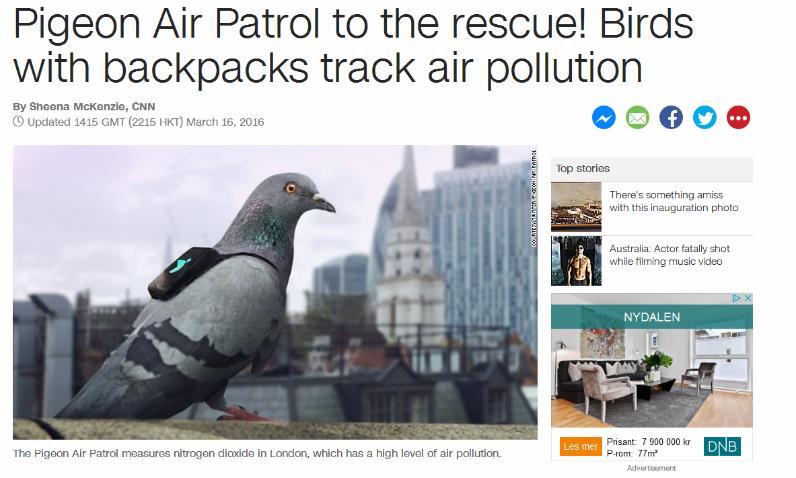 Air Patrol