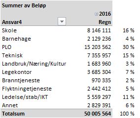 Skjema 1B hvordan midlene er brukt