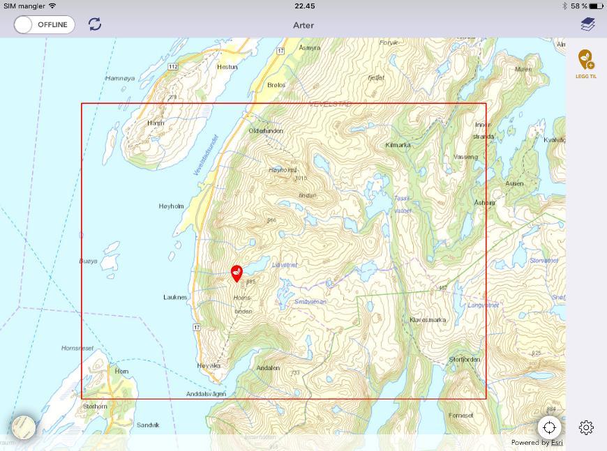 4.1.4 Registrering av lokaliteter og arter i offline modus Registrering skjer på vanlig måte, jf kap 3, men er begrenset til kartutsnittet du hadde da du satte appen i offline modus, jf.