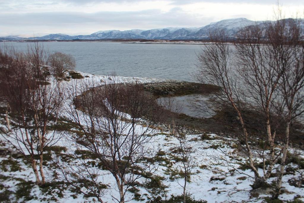 Bilde 5. Tatt mot øst-nordøst fra sørlige del av Hjartøya.