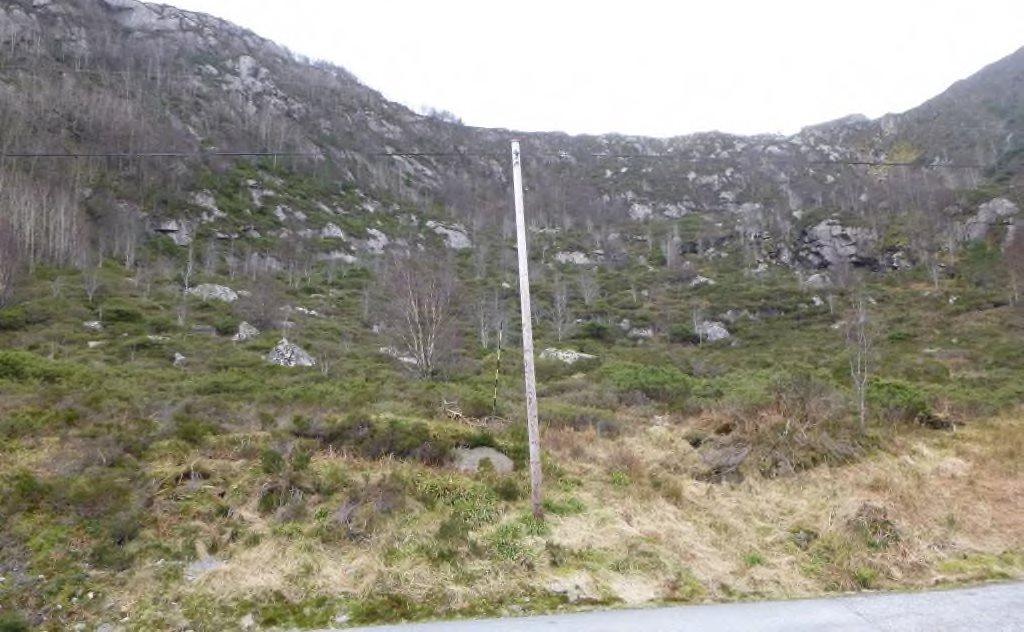 Figur 11: Foto fra botn/skål-formasjonen, viser vegetasjon og større blokker som ligger i terrenget. Eksisterende voll med varierende høyde og sammensetning.