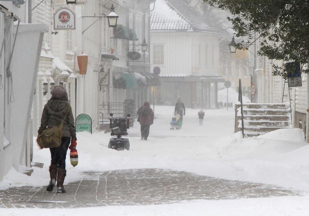 Nye Lindesnes kommune skal være en grønn kommune. Kommunen skal være en pådriver for å bedre sentrale rammevilkår for energieffektivisering og andre klimavennlige tiltak.