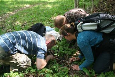 2. Finn fram til et oppdrag til elevene Et oppdrag om interessekonflikter i skog, som