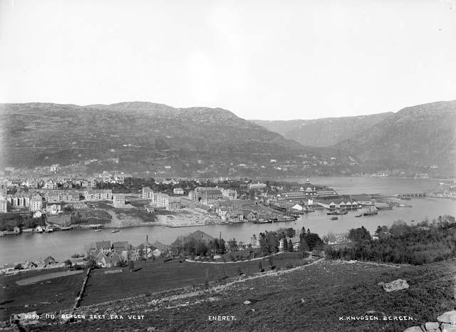 4.4 Historikk Den første rydning og bebyggelse i området var på Damsgård, opprinnelig gårdsbruket Hásteinar (eg.