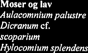 Engfiol xx canina Viola palustris Myrfiol xx Viola riviniana Skogfiol X Viola tricolor Stemors- X blomst Moser og lav Aulacomnium