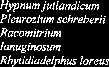 scoparium Hylocomium splendens Hypnum jutlandicum Pleurozium schreberii Racomitrium lanuginosum Rhytidiadelphus loreus