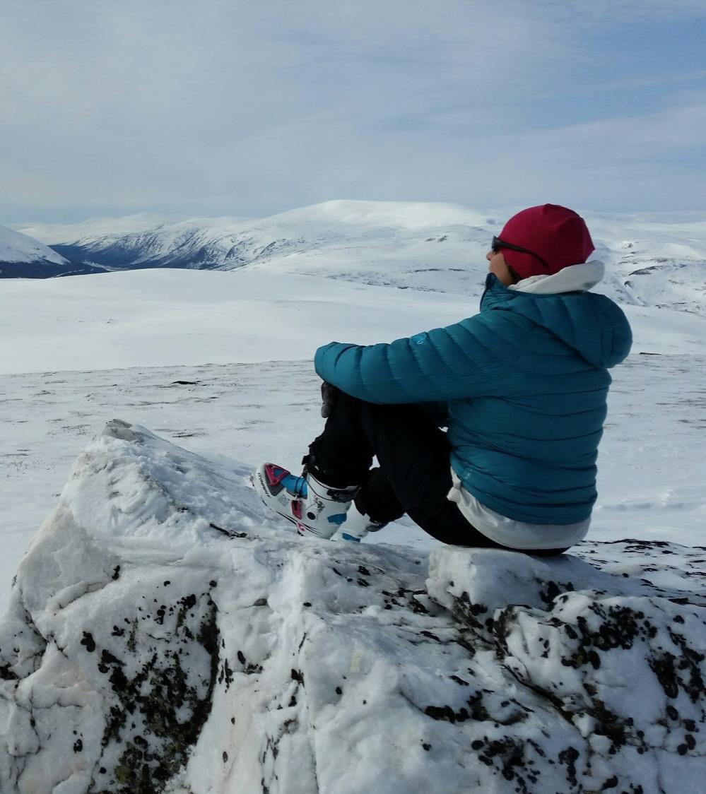 Nasjonalparkforvaltar Dagleg leiar