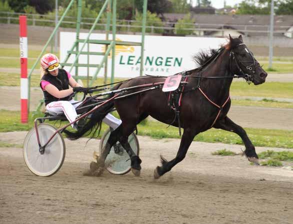 9 10 2017: 2-0 -0-0 -0-40.3v -0 2016: 0-0 -0-0 -0-0 Stjernevinna 9 40,3m 0 5 år Mørkbr HP v. Järvsöfaks (S) e. Skarpvinna v. Pål Even Ida F.