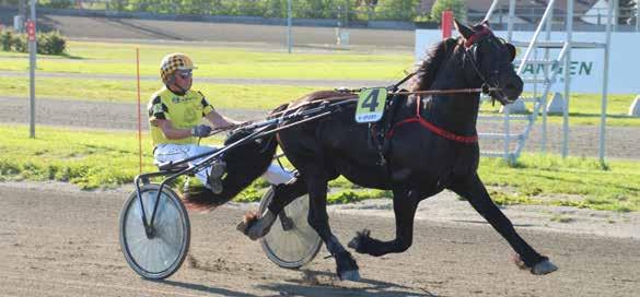 9 10 11 12 2017: 2-0 -0-0 -2-35.5v -8.014 2016: 0-0 -0-0 -0-0 Ulvsås Zicolin* (S) 3 35,5k 8.014 3 år Brun H v. Ulvsås Zico* (S) e. Ulvsås Moa* (S) v.