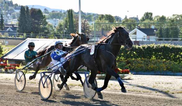 9 10 11 12 2015: 0-0 -0-0 -0-0 2014: 6-0 -0-0 -1-15.5a -2.000 Becky's Rainman 9 17,0m 13,6ak 134.901 6 år Brun V v. Staro Showbiz (S) e. Rioja Sund (S) v.