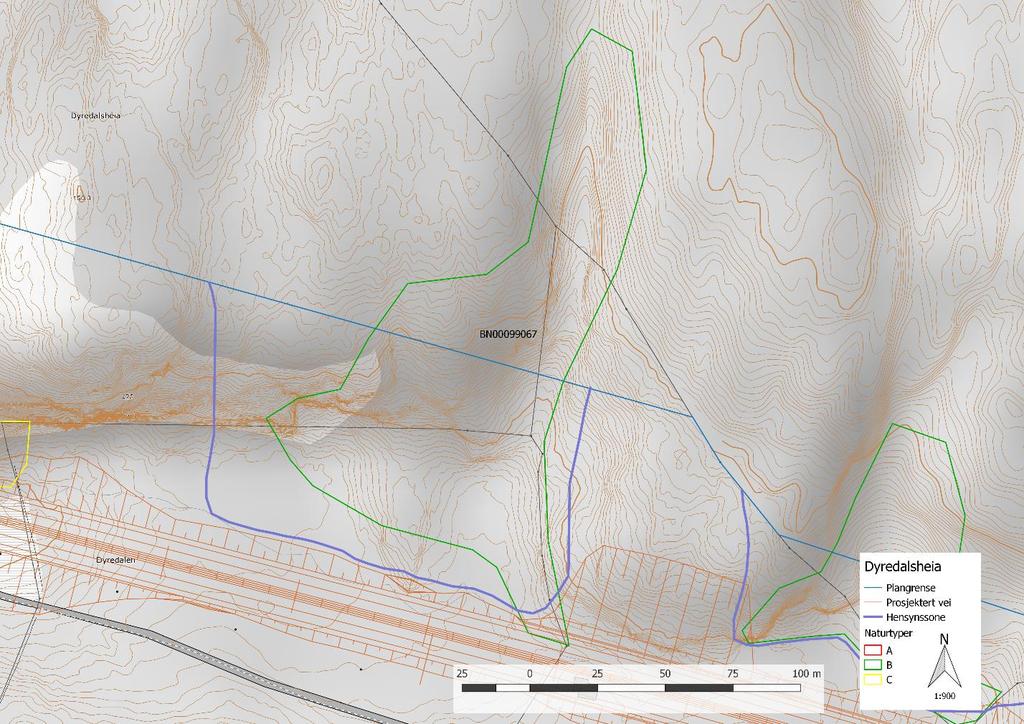 Figur 2: Oversikt over traseen til nye E-39 gjennom Dyredalsheia (BN00099067) og