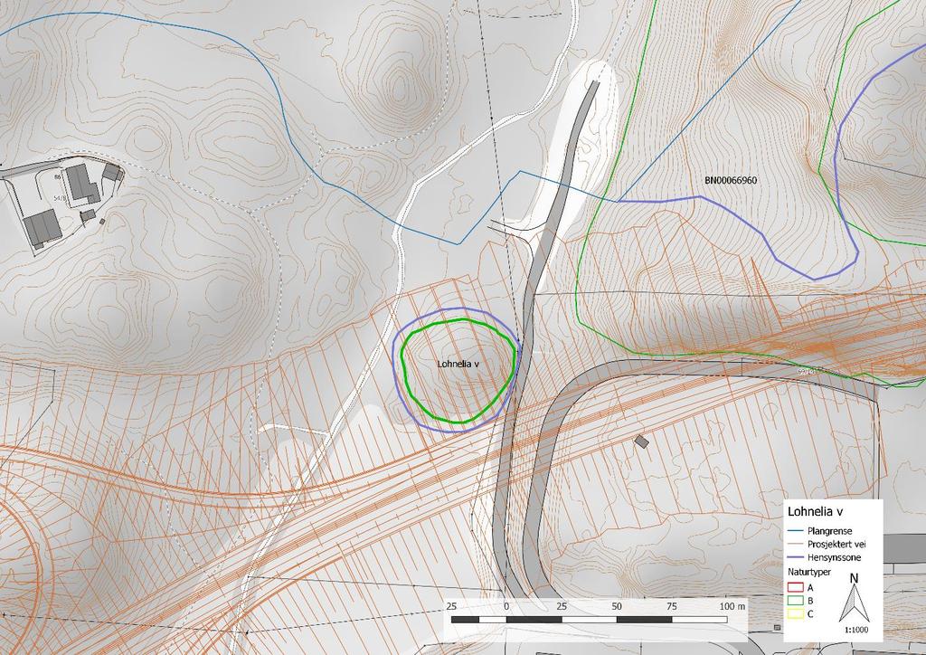 3.2.3 Lohnelia V (hagemark) B-verdi Lokaliteten ble kartlagt av Stefan Olberg og Lars Erik Høitomt (begge BioFokus) den 26. april 2017 (figur 35).