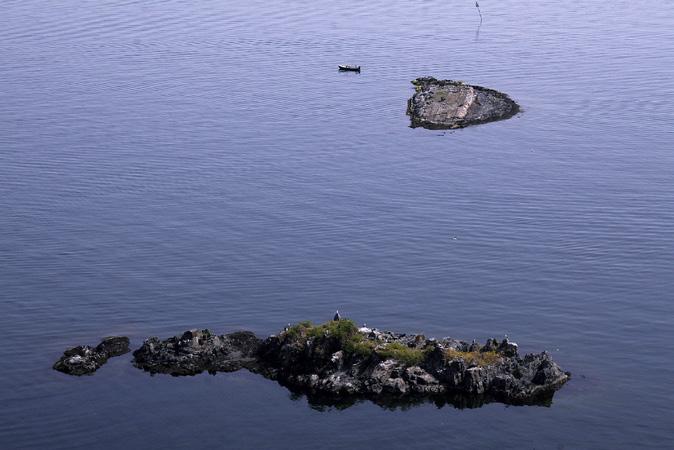 Hekkende sjøfugl i indre Oslofjord, Buskerud 2009 Skurven med Flåskjær i bakgrunnen.