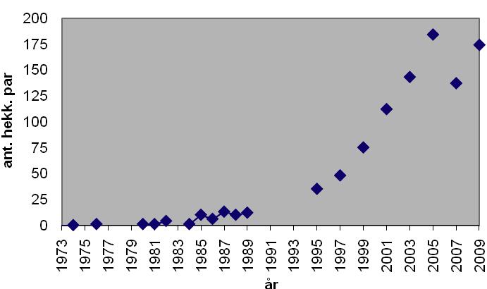 Ærfugl (Æf) Somateria mollissima 174 par/kull er en pen oppgang siden 2007 (+27 %), men så var 2007 et dårligere år en det langtidstrenden skulle tilsi.