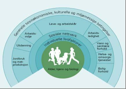 Figur: Helsens påvirkningsfaktorer (etter Whitehead og Dahlgren); viser hvordan helsens påvirkningsfaktorer legger seg utenpå hverandre med de individuelle livsfaktorene nærmest individet, sosiale