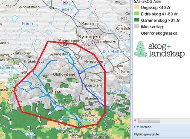 Et stort og viktig viltområde, Flæin, ligger rett nordvest for planområdet (Se fig 4, 11 og vedlegg 1, område 4).