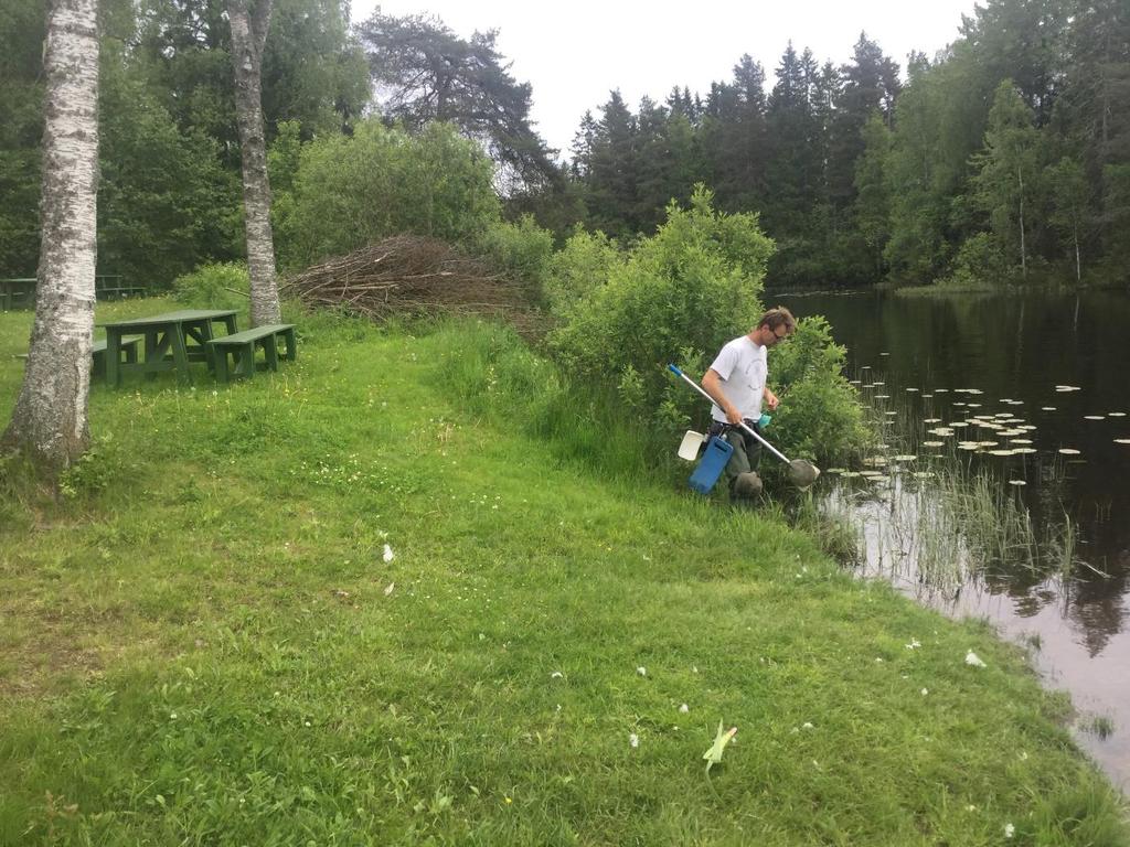 oppholdsvær, sol og gode forhold for å gjøre undersøkelser av insektfaunaen. Området vurderes å være godt nok kartlagt for å vurdere områdets naturtyper og arealets potensial for rødlistede arter.