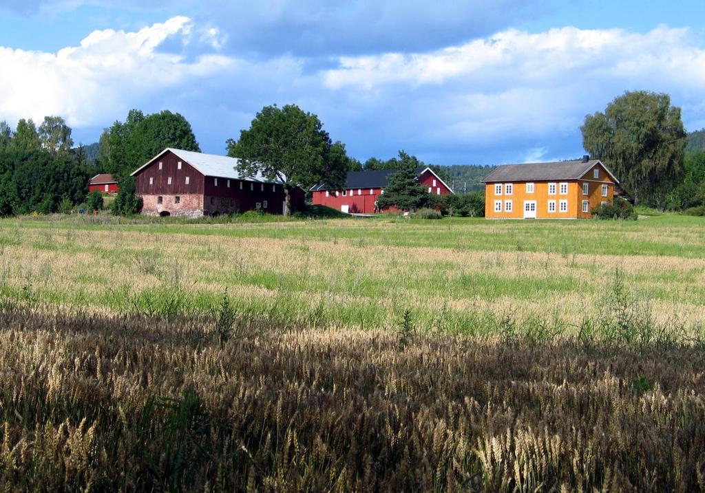 5 UTVIKLING OG TENDENSER Driftsbygningen på Nedre Nes i Hillestad (0702-310-010). Ingen driftsbygninger har gått tapt i Holmestrand ved 2. omverv. Ved 1.