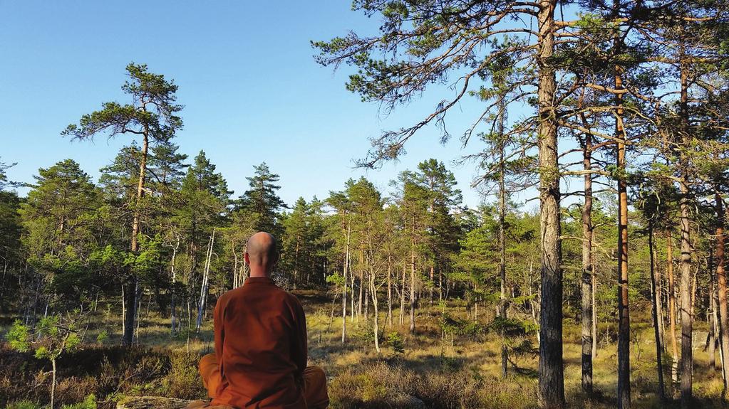 innbyggere med interesse for buddhismen og/eller Thaikulturen. Den buddhistiske klosterkulturen, og spesielt denne grenen, preges av en dyp respekt for alt liv; både dyr og planter.