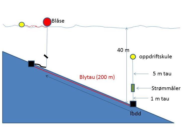 2 Metodikk 2.1 Instrument og målemetode Det ble brukt en profilerende strømmåler (RDCP 600; Recording Doppler Current Profiler, Aanderaa AS) for innsamling av strømdata. Måleren ble satt ut 08.05.