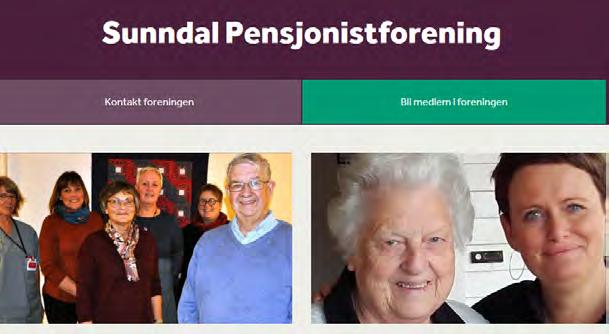 INNSPILL FRA SUNNDAL HANDELSFORUM, BREV DATERT 29.01.17 Vi ønsker at det skapes en møteplass utendørs fylt med bord/benker og ulike ak vitetsanlegg som dekker ulike aldersgrupper.