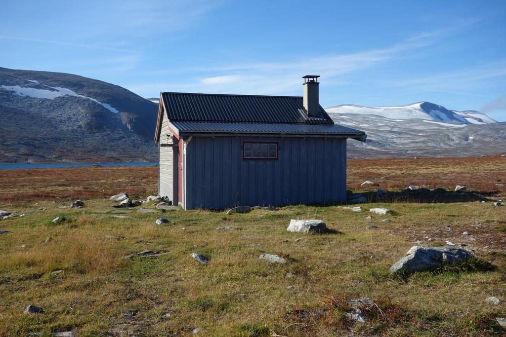 Nasjonalparkgrensa går i overgangen mellom snaufjell og lauvskog.