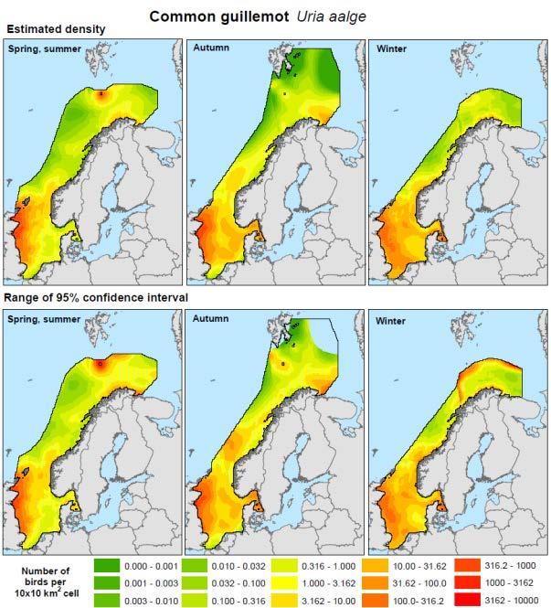 Figur 4-2 Utbredelseskart for lomvi i åpent hav i tre sesonger (øverst) samt usikkerhetsestimater for utbredelseskartene som 95 % konfidensintervall (nederst).