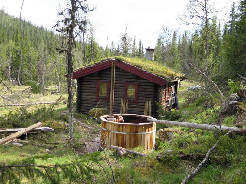 Saksopplysninger Trond Ole Skåret søker om tillatelse til å oppføre en badestamp med kombinert ved/håndklestativ fire meter nord for hans hytte på Otterslåtten i Fulufjellet nasjonalpark.