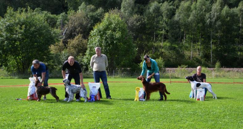 BIS 2BIS 3BIS 4BIS Breton Reisavannet's Zr-Zelica, eier Jan Bjarte Skrøppa Engelsk setter Hardvolla's Tu, eier Jan