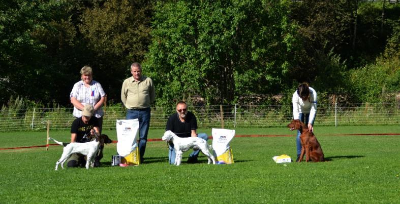 Stenumgård BIS valp Kleiner münsterländer Vardegløtt's Finn, eier Terje Fjellum 2BIS valp Engelsk setter Dawn, eier