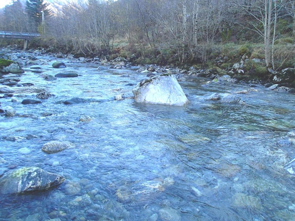 Fiskebiologiske undersøkelser i Søre Vartdalselva i