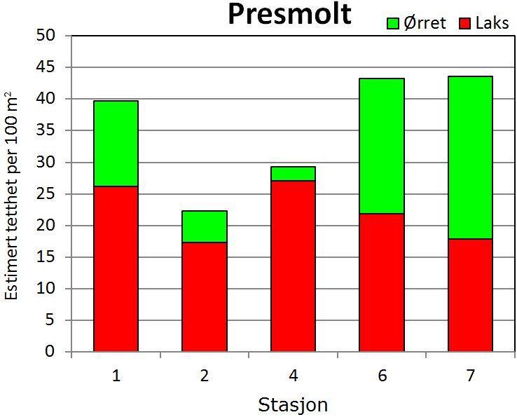 Tetthet av presmolt Tettheten av fisk i presmoltstørrelse er beregnet for stasjonene hvor fisken ble avlivet og aldersbestemt (stasjon 1, 2, 4, 6 og 7).