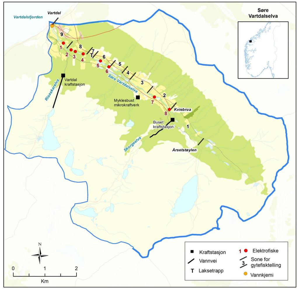 SØRE VARTDALSELVA I ØRSTA Vassdragsbeskrivelse Søre Vartdalselva (Storelva) har et nedbørfelt på 43,1 km², og renner ut i Vartdalsfjorden ved Vartdal i Ørsta kommune.