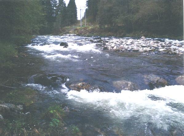 Stryking av stamfisk og utsetting av laksyngel har foregått i Søre Vartdalselva siden 1960-tallet.