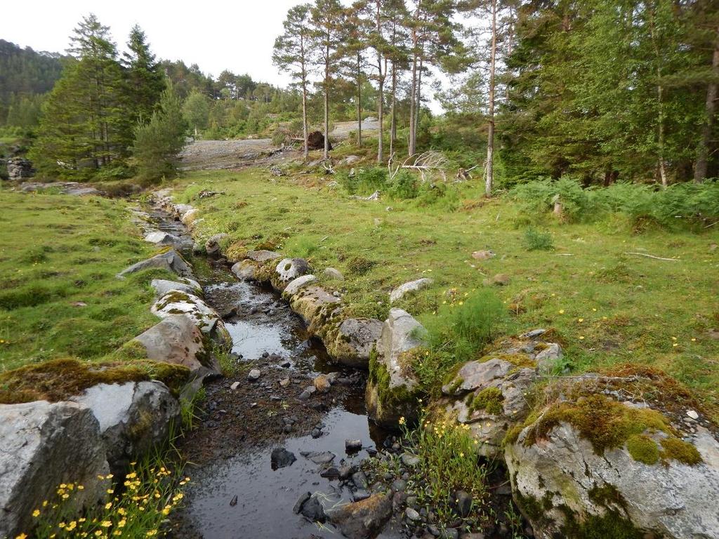 Figur 6. Området der kantane vart steinsett i 2004. Elva gjekk her først i meandrar, men vart retta ut rundt 2000. Biletet vart teke 25. juni 2016 då det knapt rann vatn i elva.