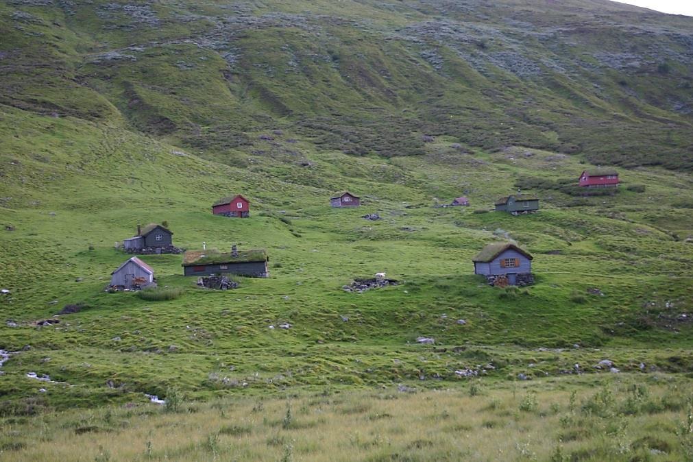 er fjellstølen til fleire gardsbruk på Føli og på Hove.