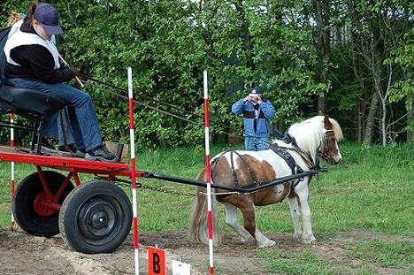 c) først galopp eller travstrekning deretter direkte over i åpne/lukke grind (groomen utfører, ekvipasjen står i ro) d) først galopp eller travstrekning, deretter skritt på lange tøyler II)