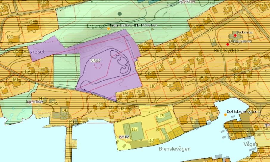 Figur 1. Lokalisering av føreslått næringsområde N507 ved Ergan i Bud.