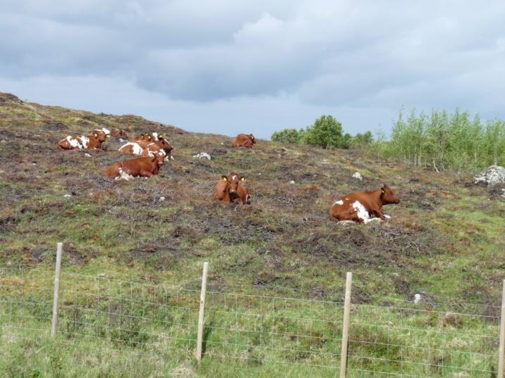 Frivillige avtaler Arbeidet baserer seg på frivillige, langsiktige avtaler