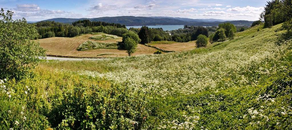 Film om boligtilpasning Filmen viser på en god måte hvordan Lindås kommune kommunen arbeider tverrfaglig med slike saker.