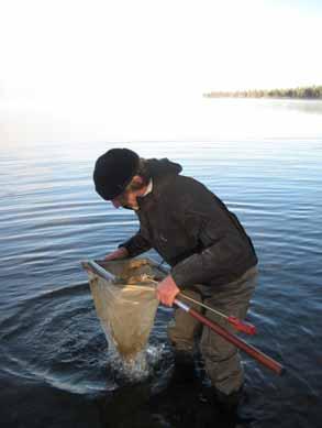 Figur 1. Seniorforsker Torleif Bækken siler en prøve i innsjøen Femunden i Sør-Trøndelag. 2.