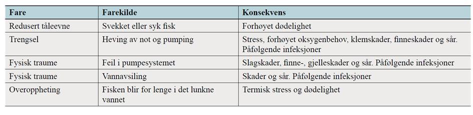 Utfordringer i forhold til fiskevelferd En vanlig konsekvens ved all mekanisk og termisk avlusing er at fisken må håndteres, først ved trenging og deretter ved å pumpes gjennom forskjellige rør med