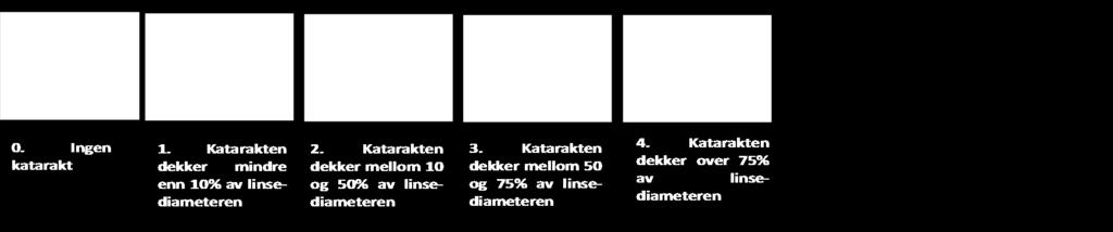 Tabell 3.2.13-2-del 3. Morfologisk scoresystem for diagnostikk og klassifisering av viktige eksterne morfologiskeskader.