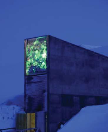 God belysning fremhever Florø og dens arkitektur, og kan fungere som en identitetsskapende faktor - også etter mørkets