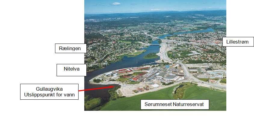 2. Innledning 2.1 Beskrivelse av virksomheten: Dynea AS ligger på Lillestrøm med utslipp til Gullaugvika i Nitelva. Dynea eier og drifter industriområdet.